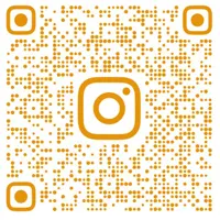 INS QR code